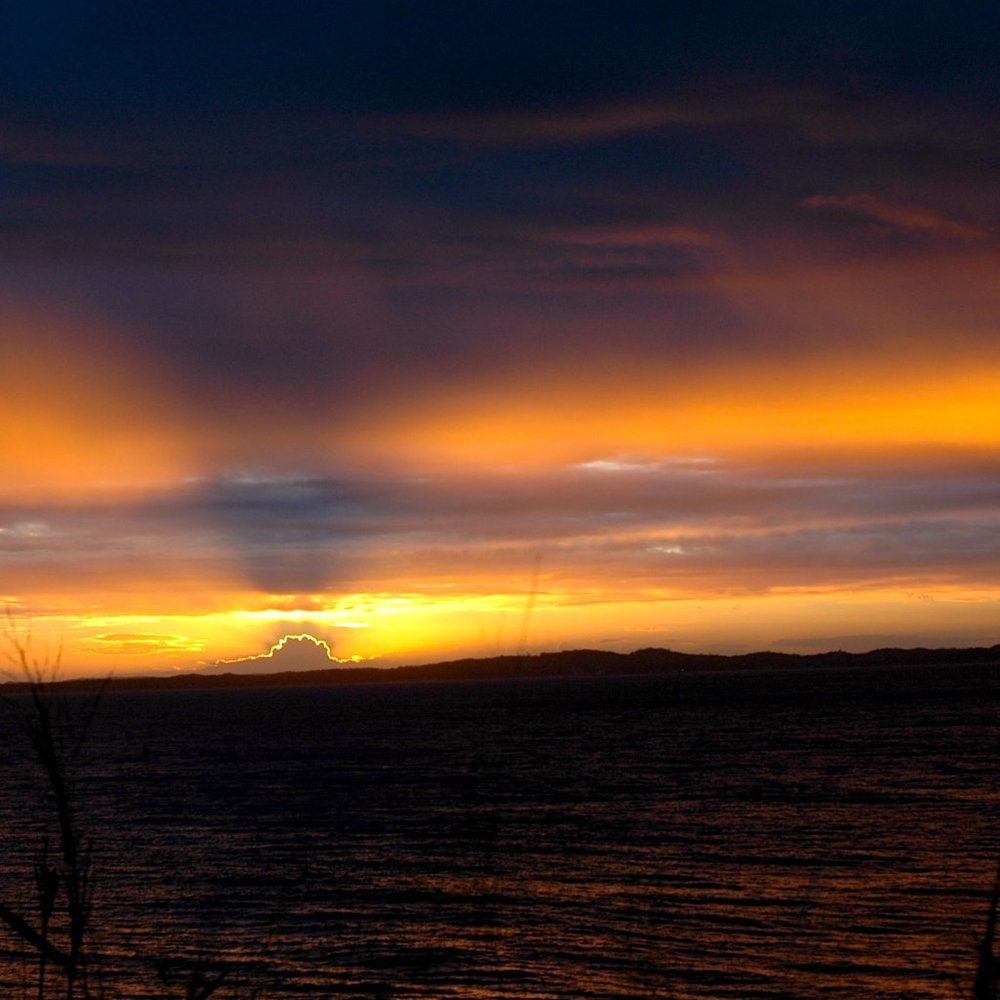 Meet your Posher, Nahrain